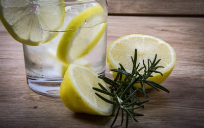 Gin tonic con romero