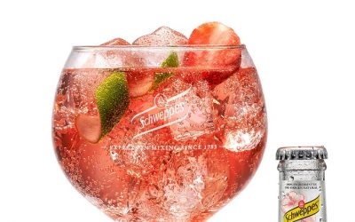 Gin tonic de fresas y frambuesas