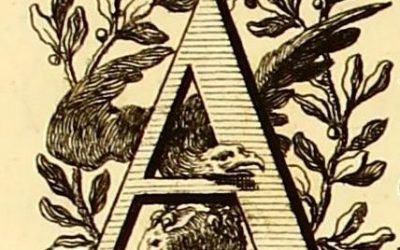 Vocabulario jurídico técnico I: abinstestato, albacea, avalúo…
