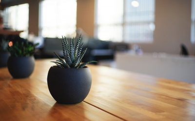 Tips para otro posible confinamiento y teletrabajo en casa