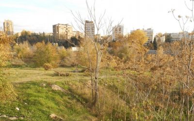 ¿Te gustaría vivir en el distrito más verde de Madrid? 
